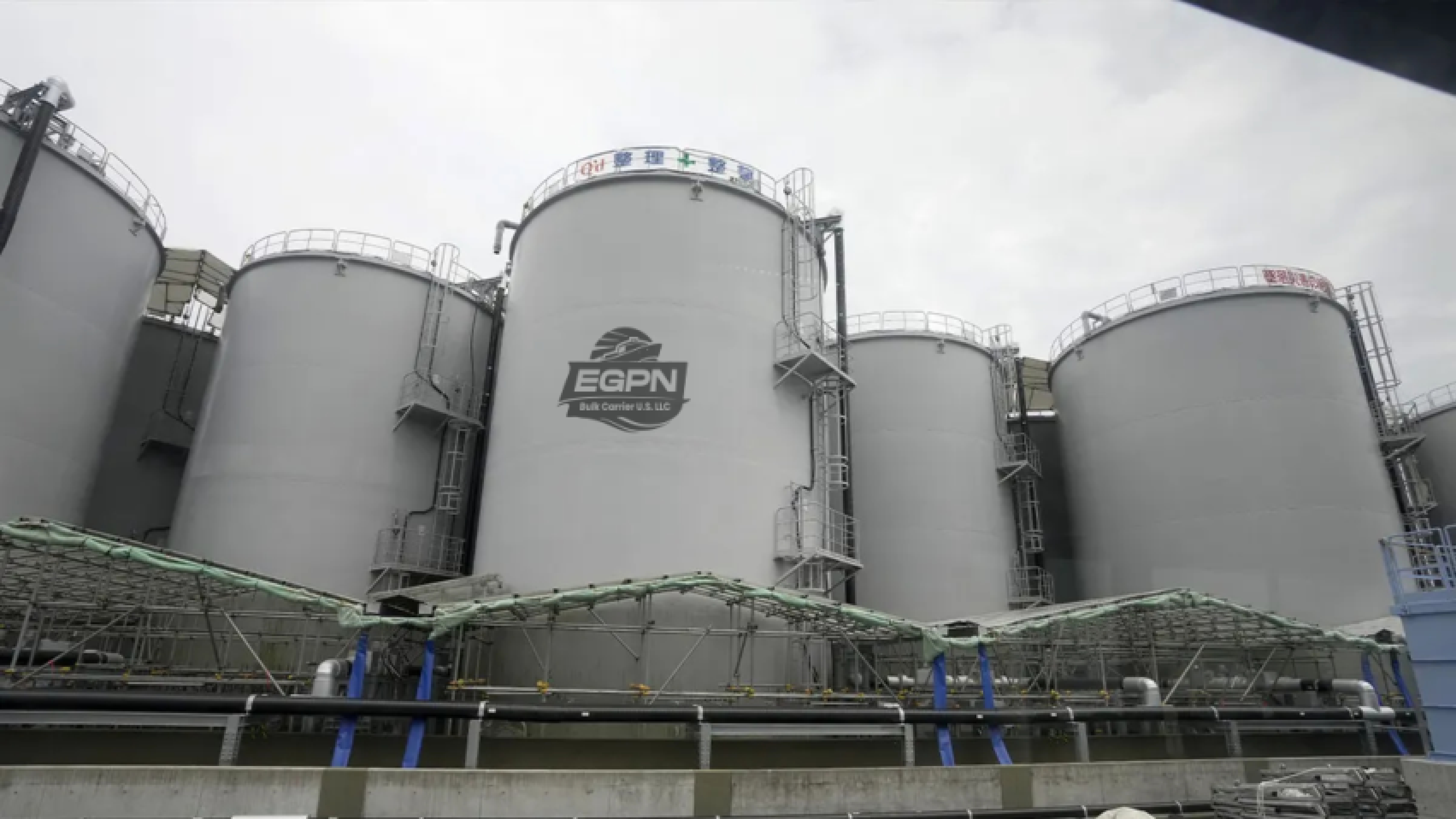 Dry Bulk Shipping